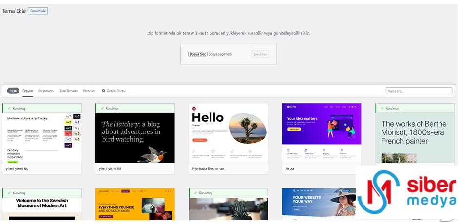 WordPress E-Ticaret Sitesi Nasıl Kurulur? » MedyaSiber Nisan 2025 wordpress teması yüklemek