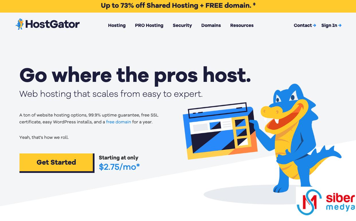 WordPress Site Kurma: Adım Adım Heyetim Rehberi » MedyaSiber Nisan 2025 hostgator ile wordpress kurulumu