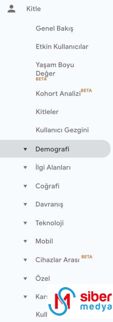 Google Analytics Nedir? Kapsamlı Başlangıç Rehberi » MedyaSiber Mayıs 2025 kitle raporu